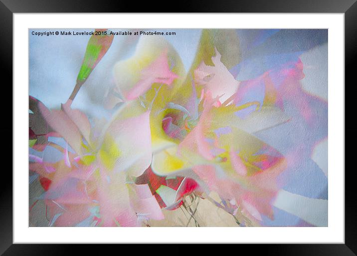  Multiple Flower Abstract Framed Mounted Print by Mark Lovelock