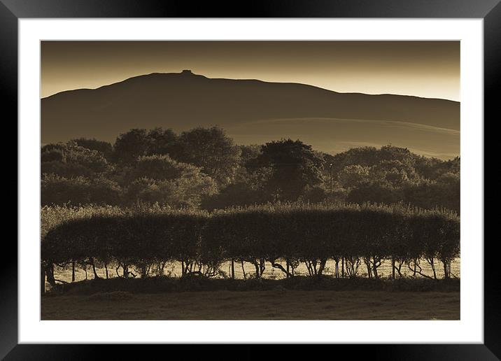 Summer hills Framed Mounted Print by S Fierros