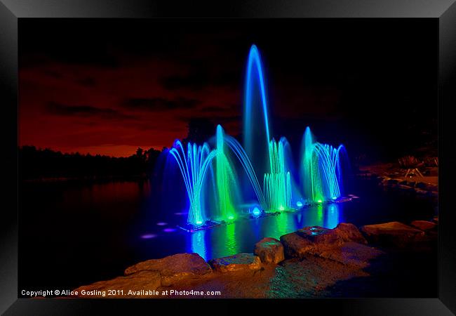 Fountain at the Electric Forest Framed Print by Alice Gosling