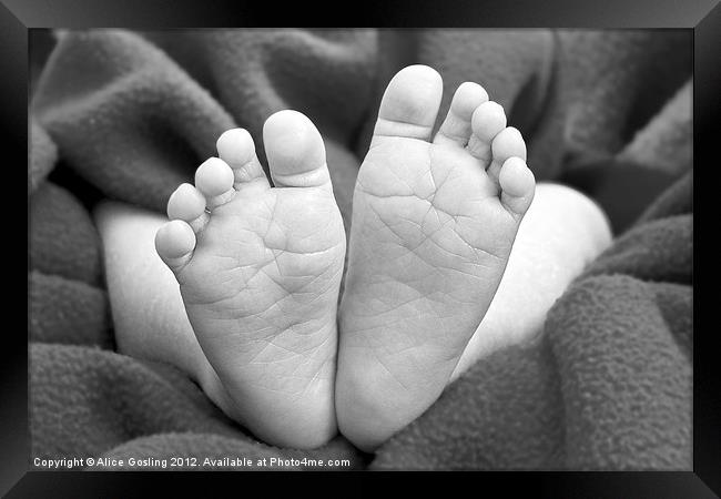 Baby Feet Framed Print by Alice Gosling