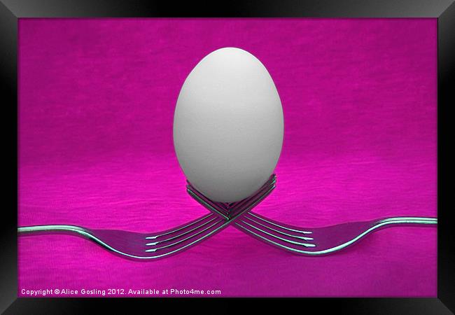 Balanced Breakfast in Pink Framed Print by Alice Gosling