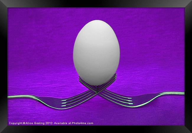 Balanced Breakfast in Purple Framed Print by Alice Gosling