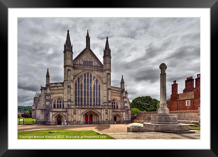 Winchester Cathedral Hampshire Framed Mounted Print by Alice Gosling
