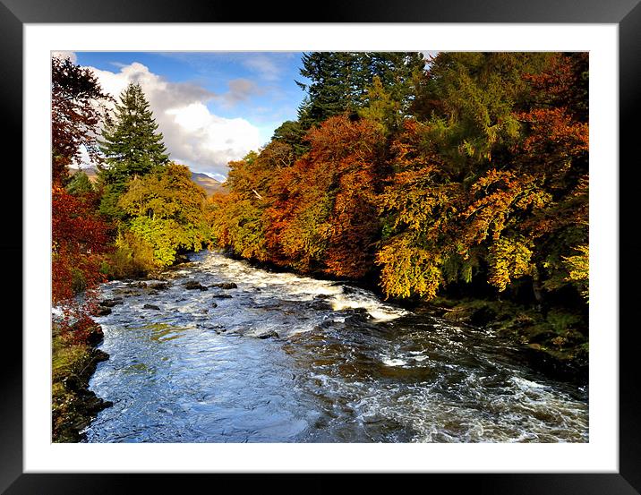 Autumn in the glen Framed Mounted Print by Lawson Jones