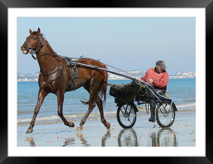 A trot on the beach Framed Mounted Print by Lawson Jones