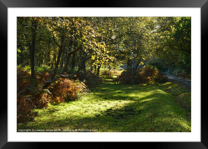 Autumn in The New Forest Framed Mounted Print by Lawson Jones