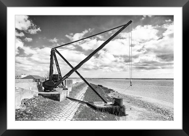Crane on the river Crouch at Burnham  Framed Mounted Print by Paul Praeger
