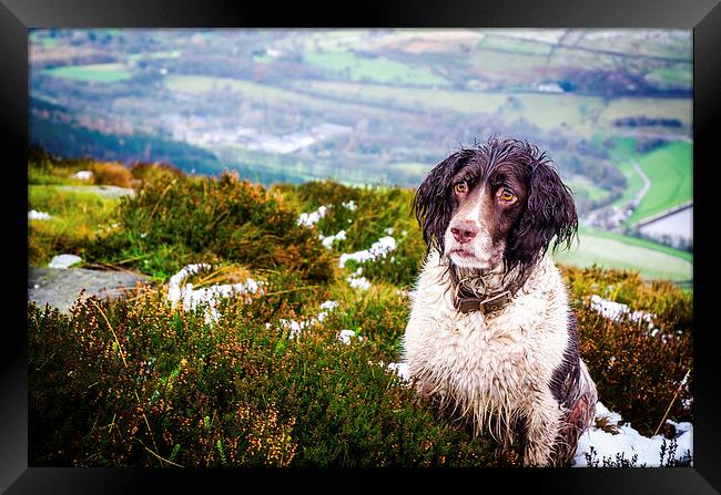  In her element Framed Print by Trevor Kerr