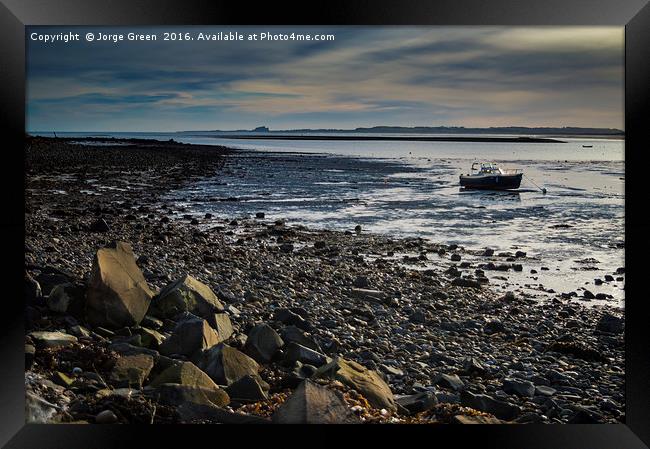 The Holy Island of Lindisfarne Coast Framed Print by Jorge Green