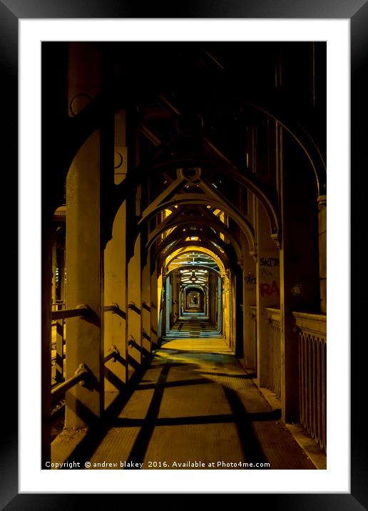 Majestic Nighttime Stroll on the High Level Bridge Framed Mounted Print by andrew blakey