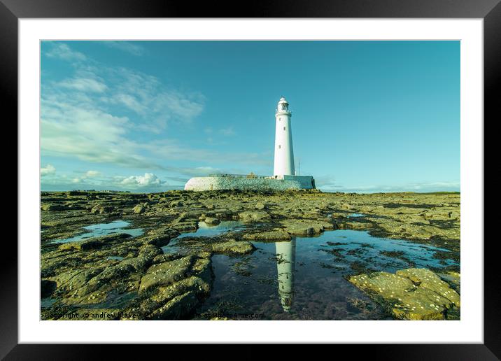Reflecting on St Marys lighthouse Framed Mounted Print by andrew blakey