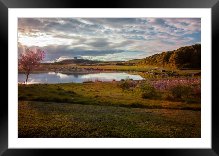 Herrington Country park Framed Mounted Print by andrew blakey
