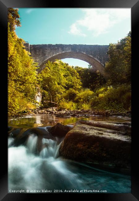 Portrait of Causey Arch Framed Print by andrew blakey