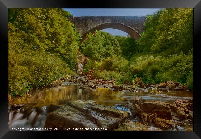 Causey Arch Framed Print by andrew blakey