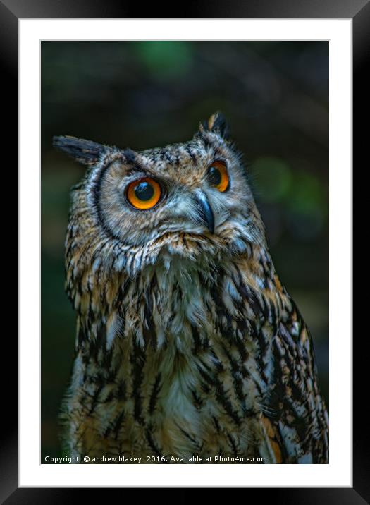 Bengal Egle Owl Framed Mounted Print by andrew blakey