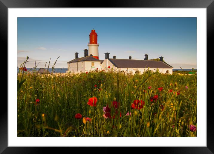 Souter lighthouse with flowers Framed Mounted Print by andrew blakey