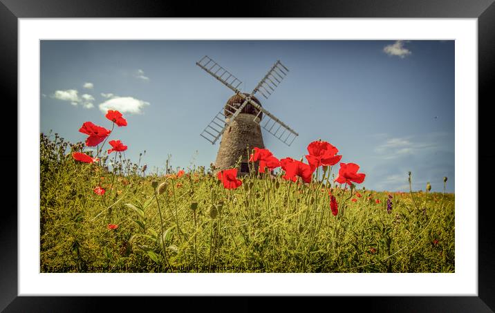 Beauty in the Field Framed Mounted Print by andrew blakey