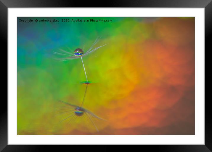 Glimpse into the ethereal world Framed Mounted Print by andrew blakey