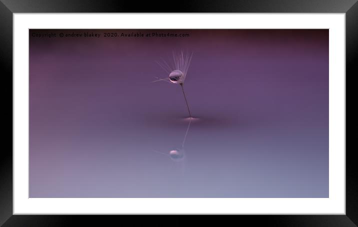 A dandelion seed centred Framed Mounted Print by andrew blakey