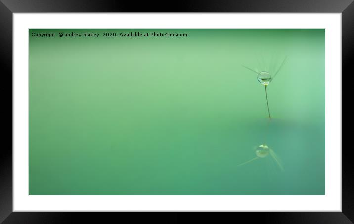 Delicate Dandelion Seed Framed Mounted Print by andrew blakey