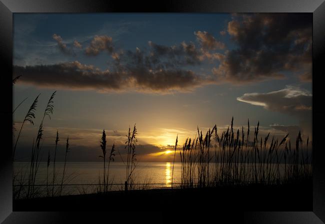 Last rays at Naples, Florida Framed Print by Paul Phillips