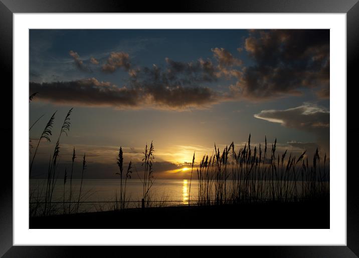 Last rays at Naples, Florida Framed Mounted Print by Paul Phillips