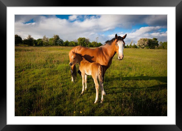 Mother and Child Framed Mounted Print by Richard Downs