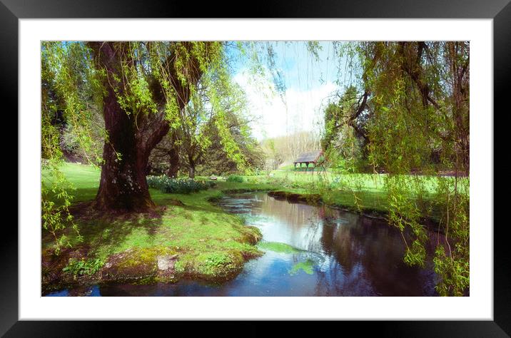 Willow Framed Mounted Print by Richard Downs