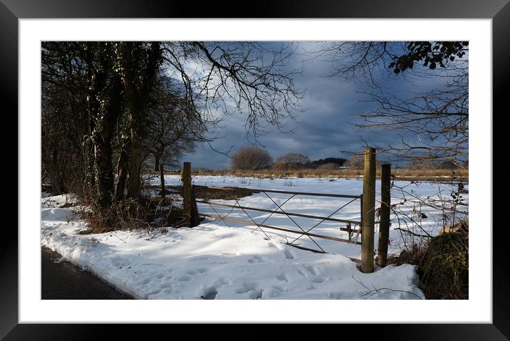 Winter Sun Framed Mounted Print by Richard Downs