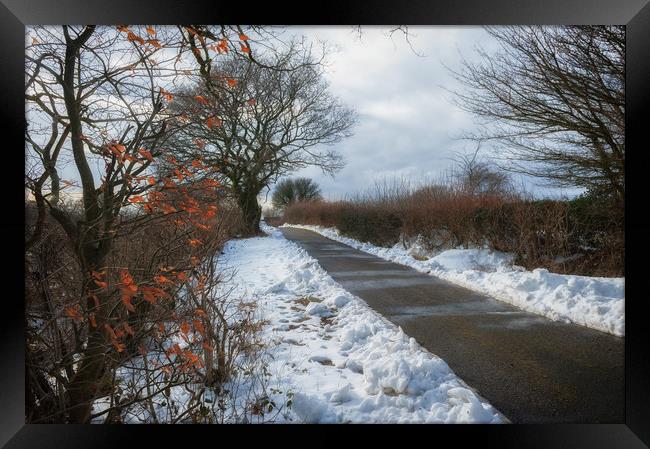 Winter Walk Framed Print by Richard Downs