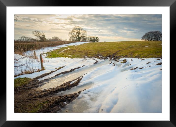 Winter Light Framed Mounted Print by Richard Downs
