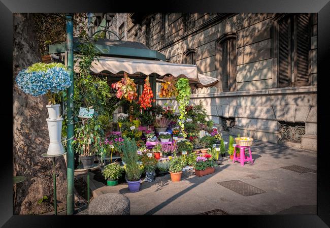 Flower stall Framed Print by Richard Downs