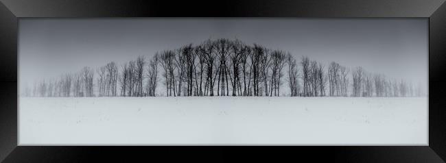 Winter Tree Symmetry Long Horizontal Framed Print by John Williams