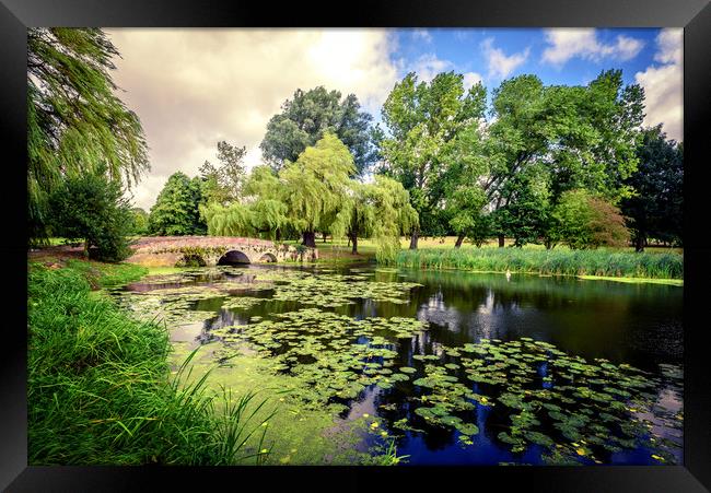 Lily Pond of England Framed Print by John Williams