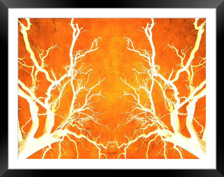 Branches of Fire Touch Framed Mounted Print by John Williams