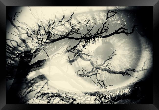 Vision of the Tree Abstract Framed Print by John Williams