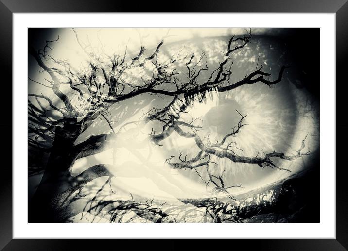 Vision of the Tree Abstract Framed Mounted Print by John Williams