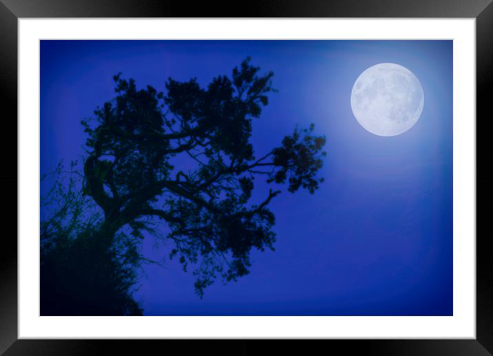 Moonlight Dreams in Blue Framed Mounted Print by John Williams