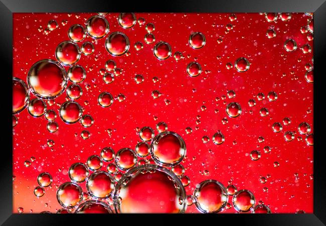 Oil on Water Red and Silver Bubble Abstract Framed Print by John Williams