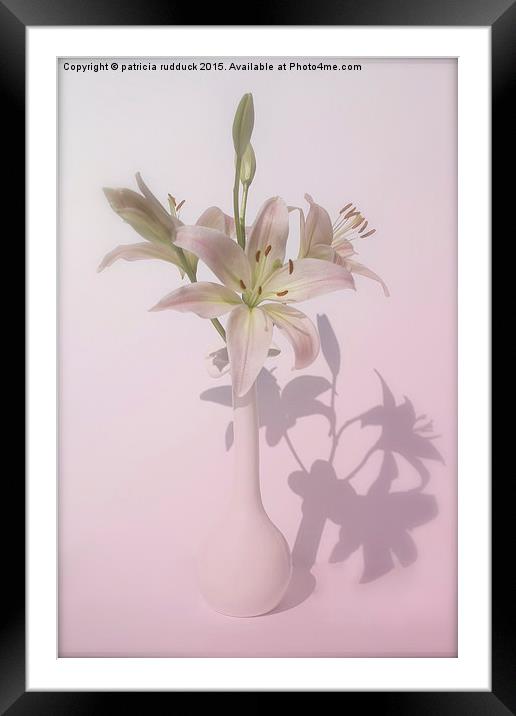  Shadows of  Lily Framed Mounted Print by patricia rudduck