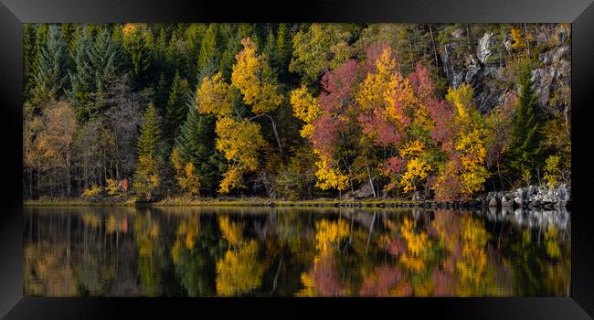 Autumn Reflections Framed Print by Eirik Sørstrømmen