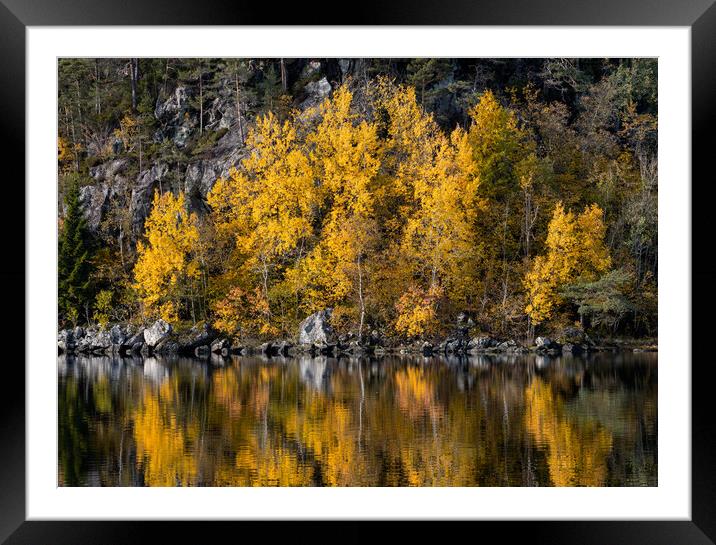 Autumn Reflections in The Lake Framed Mounted Print by Eirik Sørstrømmen
