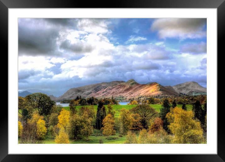 Cat Bells from Crow Park Framed Mounted Print by David Stanforth