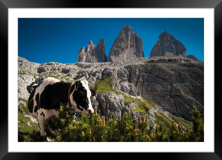 Alpine Pasture Framed Mounted Print by Willie Cowie