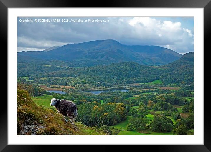 Majestic Ewe on Loughrigg Framed Mounted Print by MICHAEL YATES