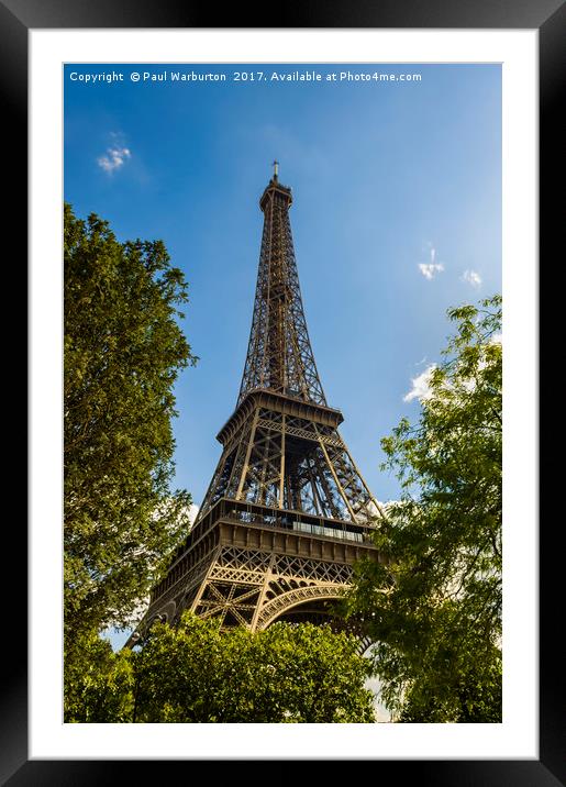 Eiffel Tower Through Trees Framed Mounted Print by Paul Warburton