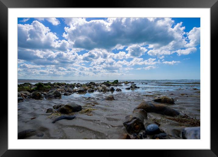 Crab Eye View Framed Mounted Print by Annette Johnson