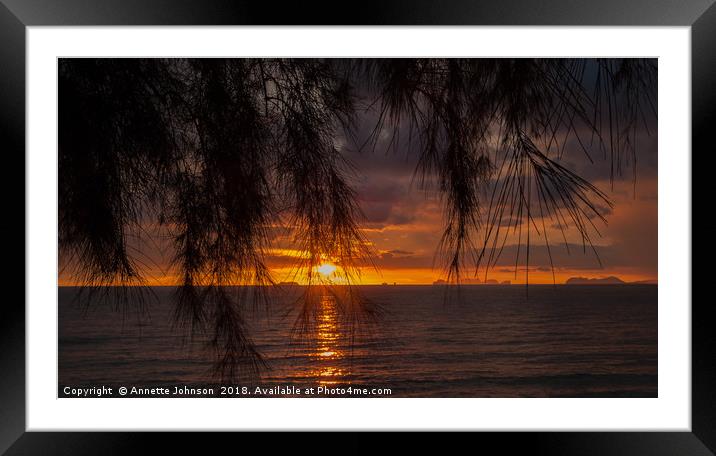 Tropical Sunset #4 Framed Mounted Print by Annette Johnson