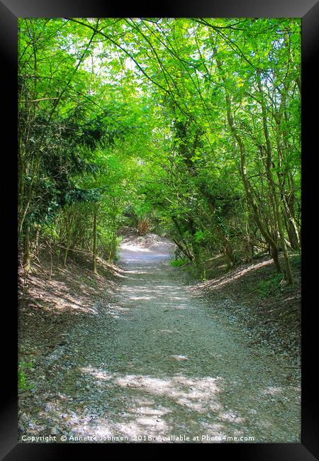 The Tree path Framed Print by Annette Johnson