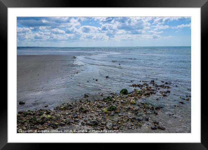West Worthing Beach Framed Mounted Print by Annette Johnson